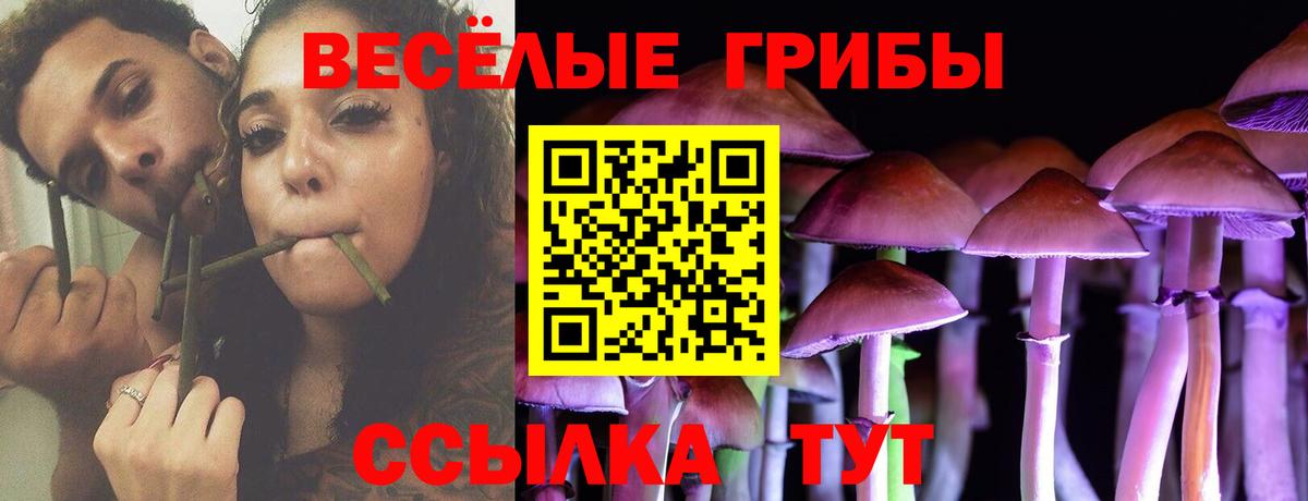 Псилоцибиновые грибы мицелий Находка