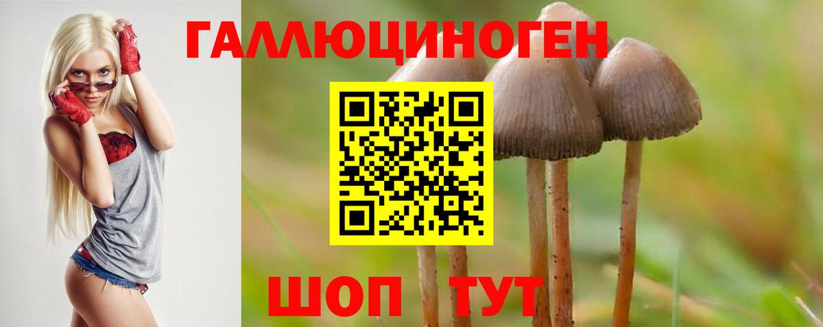 Находка  Псилоцибиновые грибы мухоморы  Вход с VPN 